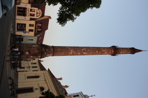 IMG 0459